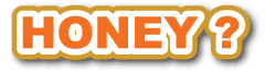HONEY�i�n�j�[�j�Ƃ�? �͂��߂ɂ��ǂ݂�������