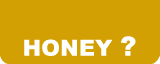 HONEY�i�n�j�[�r�Ƃ́H